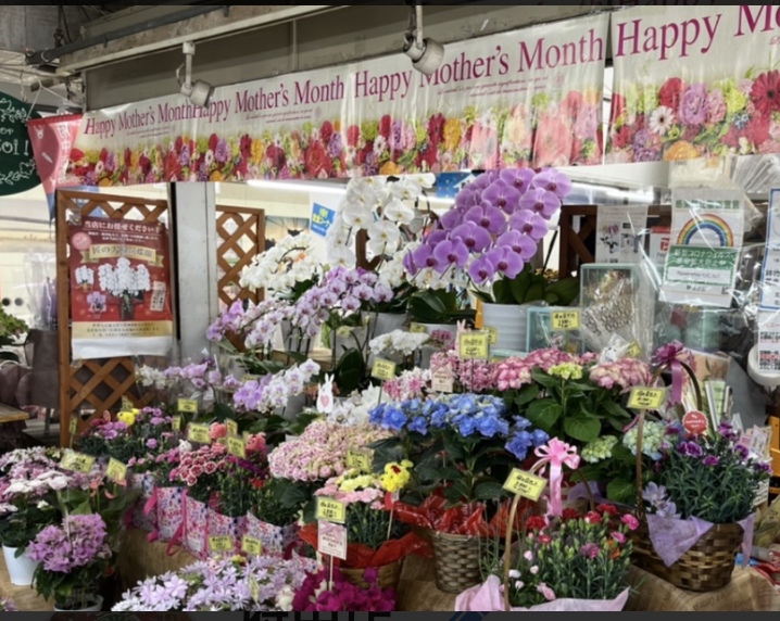 Flowershop toi toi toi！