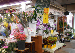 Flowershop toi toi toi！